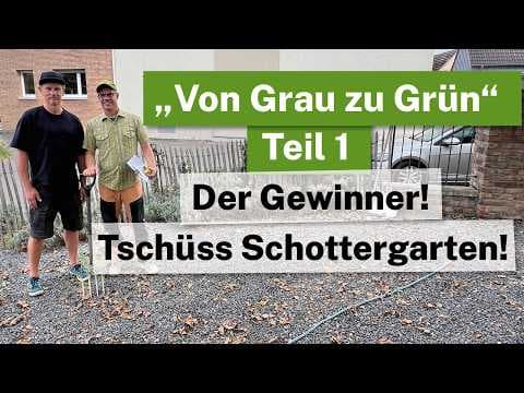 "Von Grau zu Grün" Der Gewinner! Tschüss Schottergarten! Die Planung für eine Pflanzenoase!