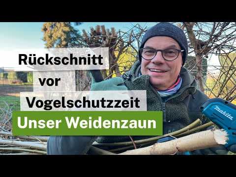 5 Jahre Weidenzaun: Das große Update & Rückschnitt mit Akku-Power! 🌱✂️Astsäge Makita DUC101Z