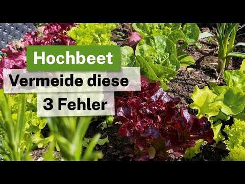 Hochbeet richtig bepflanzen: Die 3 GRÖSSTEN Fehler vermeiden! 🥬☀️ (mit Diana)