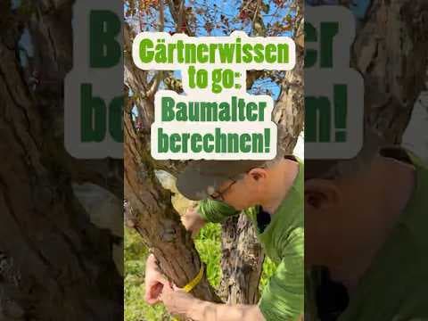 Wie alt ist mein Baum? Die geheime Altersformel! 🌳📏