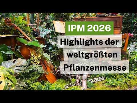 IPM 2026: Die Garten-Highlights der weltgrößten Pflanzenmesse! 🌿🚀