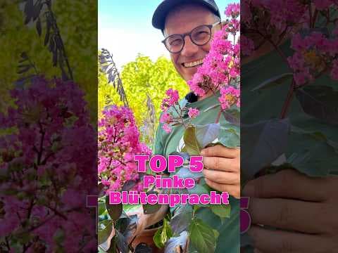 Die TOP 5 Sommerblüher in Pink, Magenta & Rosa! 🌸 (Top 5 Ranking)