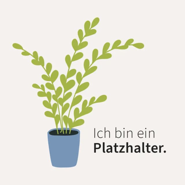 Prachtbeet statt Schottergarten