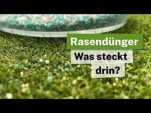 Rasen richtig düngen: Welcher Dünger WIRKLICH hilft!