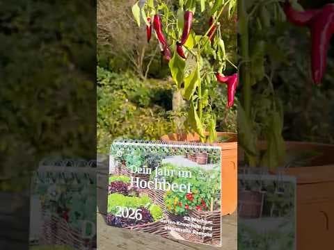 Dein Jahr im Hochbeet! Der neue Tischkalender 2026 mit tollen Rezepten und besten Gartentipps!!!