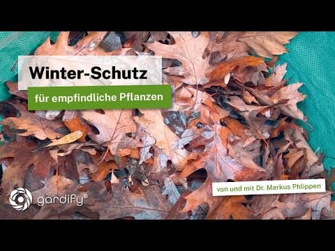 Empfindliche Pflanzen im Winter richtig schützen | Tipps für Frostschutz mit natürlichen Materialien