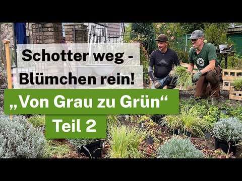 "Von Grau zu Grün" Die Umwandlung - 3 Tonnen Schotter WEG! Aus Schottergarten wird BLÜHENDES Beet!