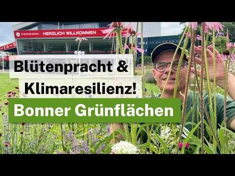 Prachtbeet statt Schottergarten: Bonn zeigt, wie es geht! Gärten für Trockenheit und Hitze!