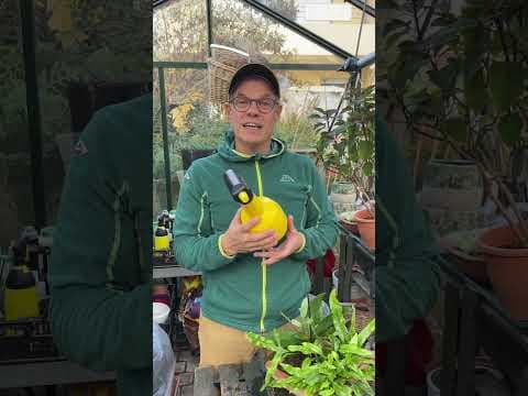 Orchideen lieben Sprühnebel!!! 🌿🌺 Gardify lädt ein zur #blackweek bei MESTO! #orchid #gartentipps