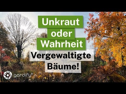 Unkraut oder Wahrheit: Vergewaltigte Bäume? - Die schockierenden Folgen bei falschem Baumschnitt!!