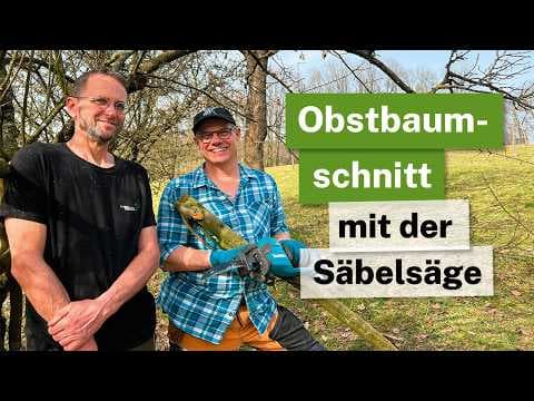 Obstbaumschnitt mit der Säbelsäge - Überalterte Apfelquitte verjüngen!🌳⚙️